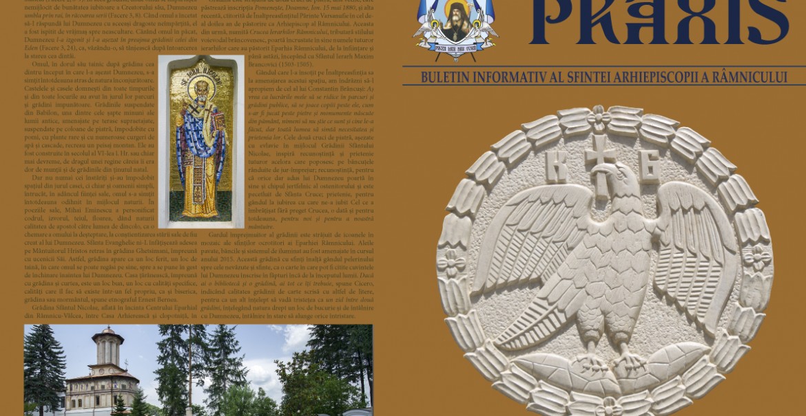 Revista Praxis Nr. 3 - Coperta